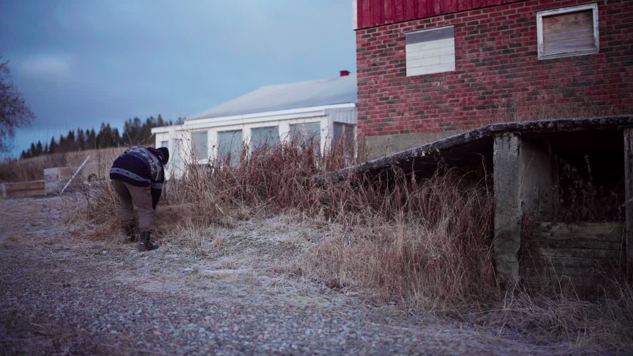 человек подстригает непослушную траву - статический выстрел