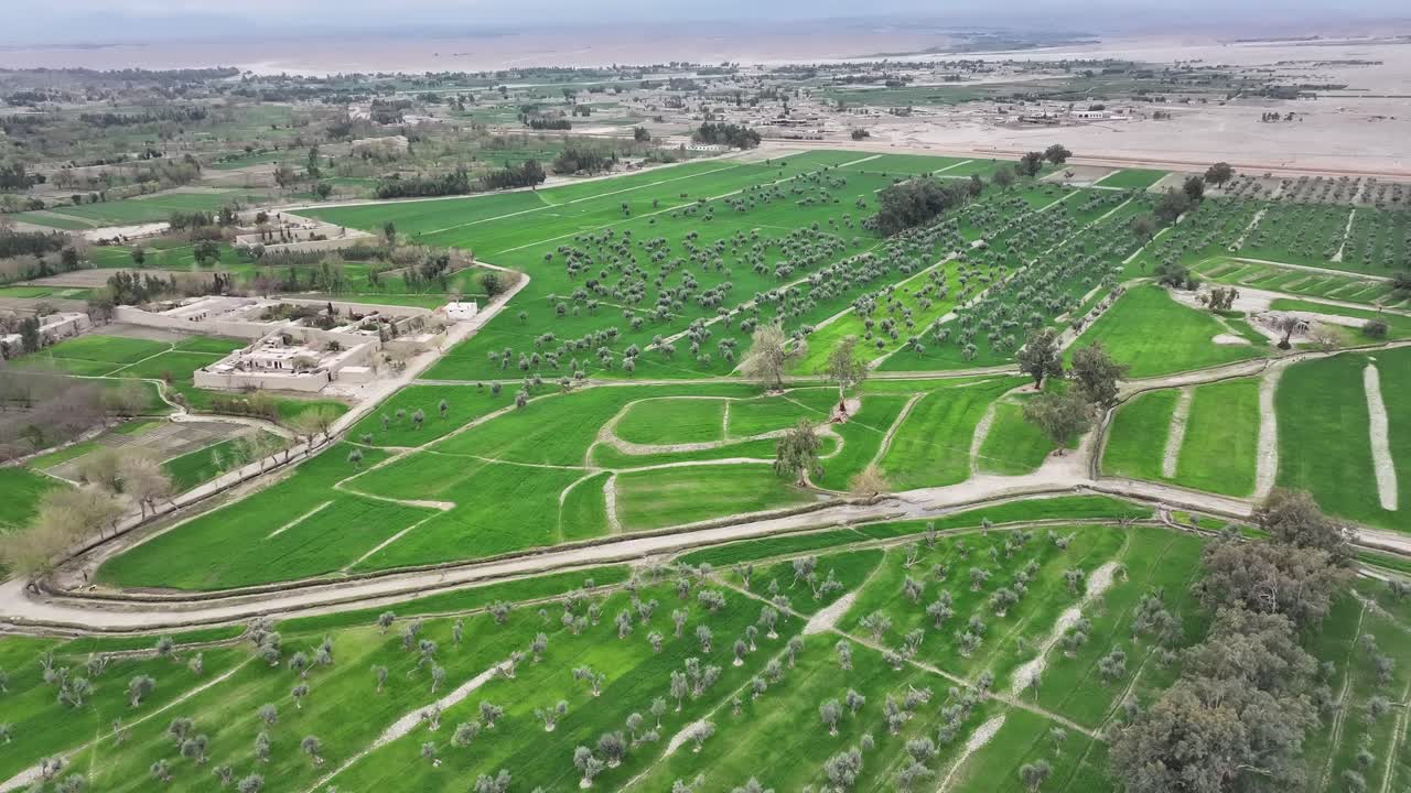 Drone Aerial over Nangahar, Nuristan, Afghanistan - Panorama Of Lush Green organic farm fields