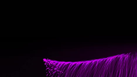 animation of glowing purple light trails moving over black background