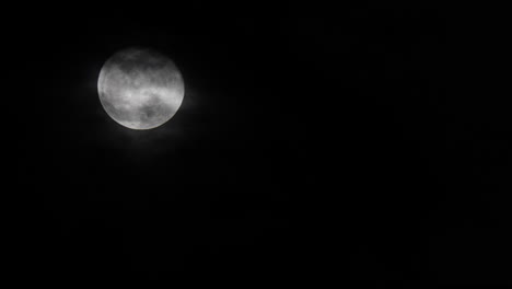 luna llena brillando en un cielo nocturno oscuro - izquierda