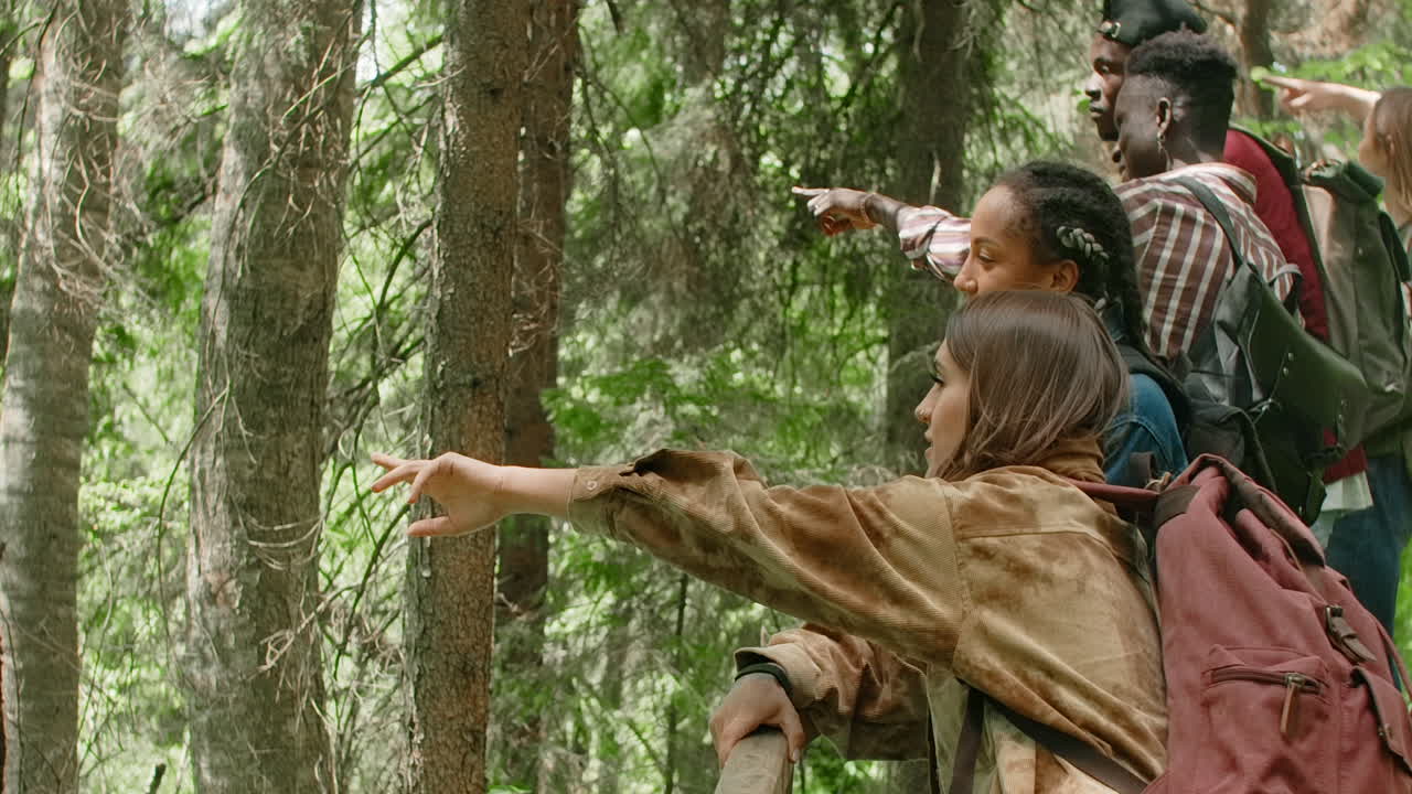 amigos haciendo senderismo en un bosque.