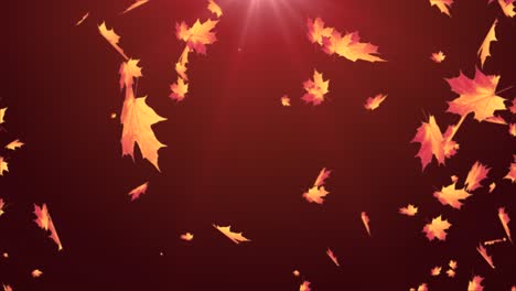 animated falling leaves