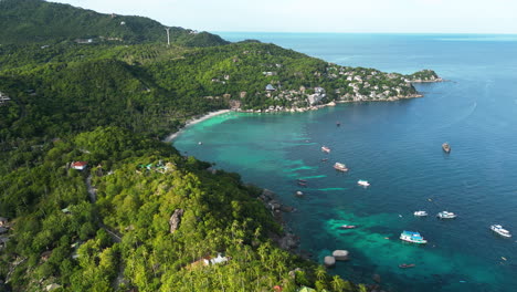 la bahía de tiburones en koh tao, tailandia es un paraíso para los buceadores.
