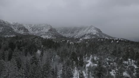 Aerial-view,-Drone-flying-over-ponderosa-pine-trees-covered-in-snow,-cloudy-day,-Payson-Arizona,-60-fps