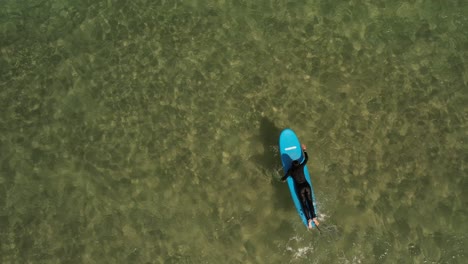 topdown view female paddling on blue longboard on clear water, slow motion shot