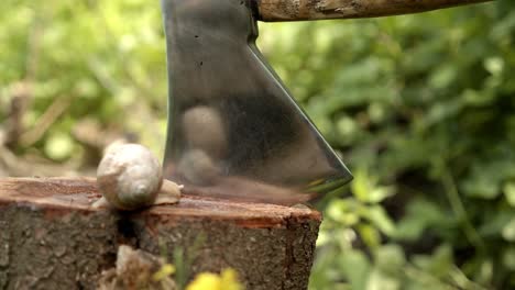 hitting a tree stump with an axe two