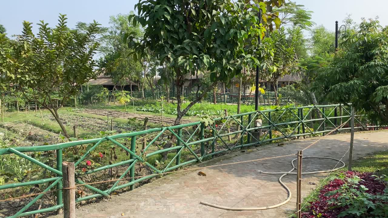 들판에서 자라는 패닝 나무의 패닝 샷, 풍경 위로 날아가는 드론