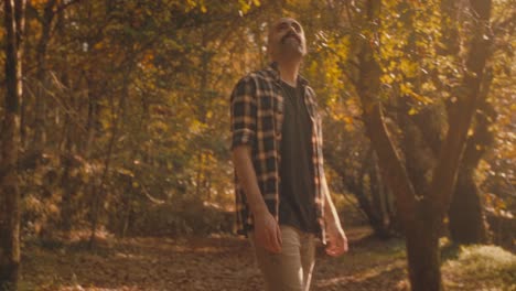 young man in checkered shirt walks away from camera in forest, stops to marvel at trees. golden light creates warm mood. relaxing nature footage.