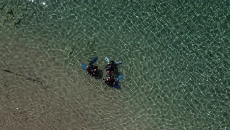 aerial view of divers in shallow water getting ready to go scuba diving