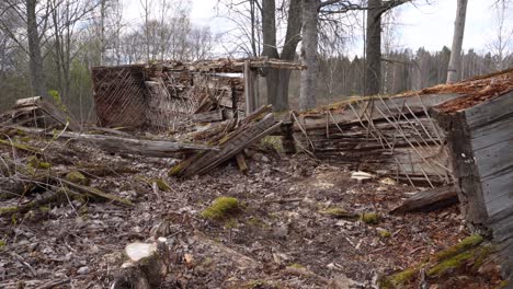 holzunterstand im kahlen wald in trümmern eingestürzt, transportwagen aus halbnaher aufnahme