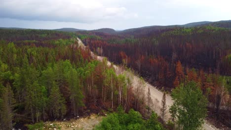 aerial overview of wildfire damage in dense forest of quebec, canada