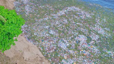 vista aérea alrededor de las olas flotando basura de plástico y vegetación verde a una playa