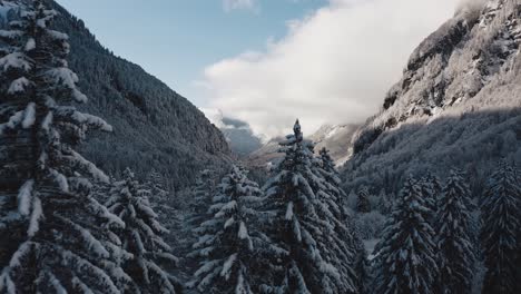 An-Aerial-View-of-Cirque-du-Fer-à-Cheval-while-covered-in-snow-during-a-cold-winter,-flying-sideways-and-close-to-the-tree-tips-to-reveal-the-frosted-valley-laying-in-the-shadow