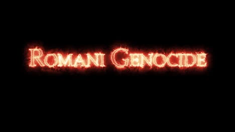 romani genocide written with fire. loop