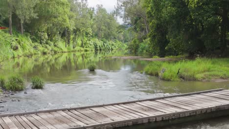 a tranquil view of a wooden bridge crossing a gentle river surrounded by lush greenery.