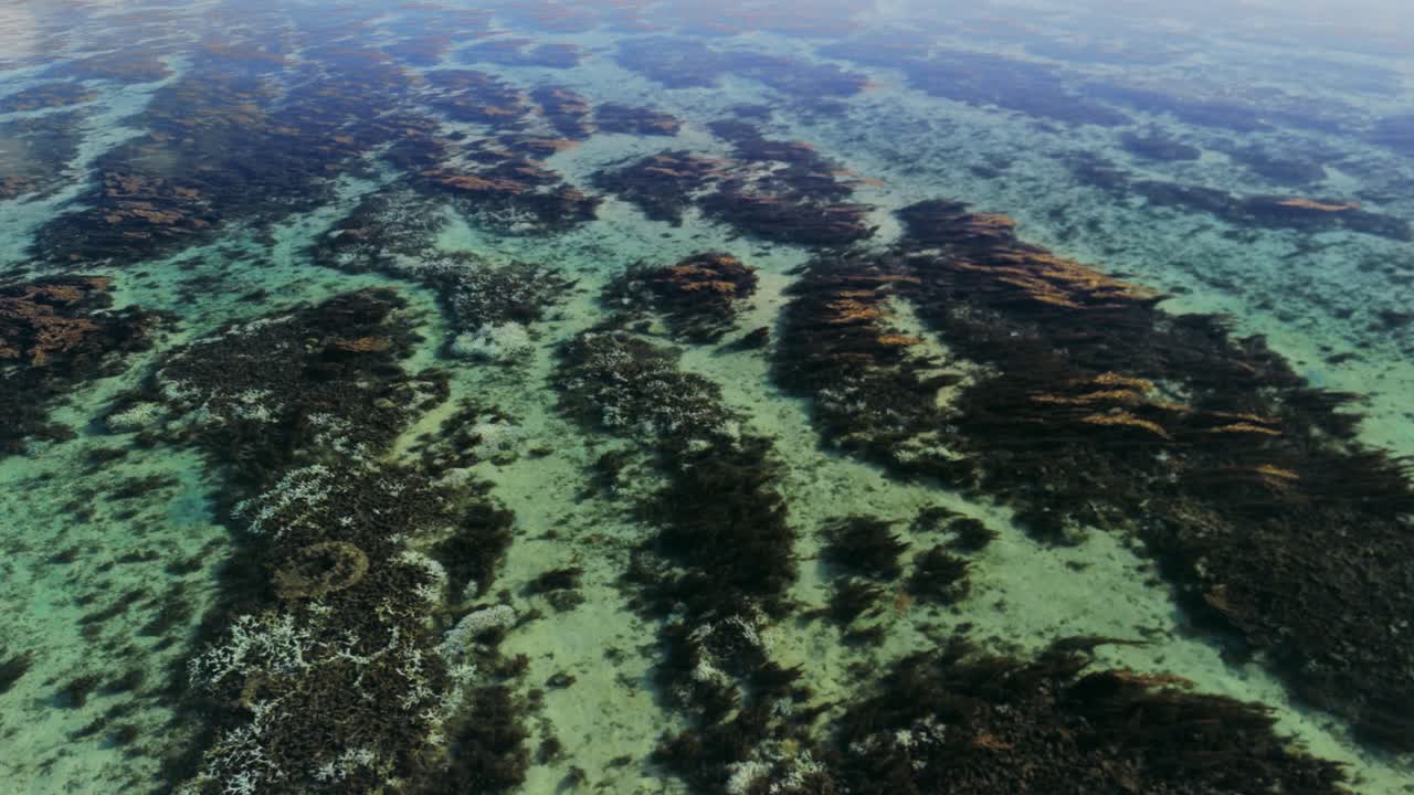 Aerial view over crystal-clear waters off St. Felix Beach, Mauritius, revealing underwater vegetation and coral formations. Natural marine beauty is ideal for tropical, eco, and ocean concepts.