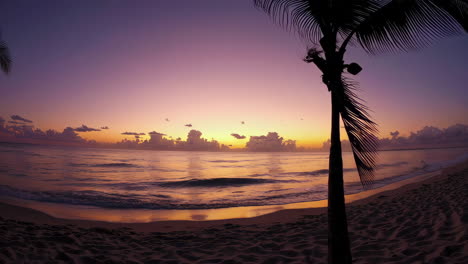 vibrant tropical sunset over a secluded beach with palm trees