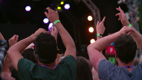 back view of friends in the audience at a music festival