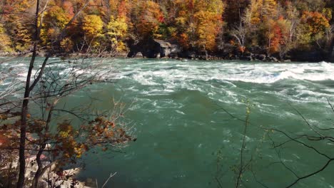 Luftaufnahmen-Eines-Schnell-Fließenden-Türkisfarbenen-Flusses-In-Einem-Kanadischen-Wald,-Dessen-Atemberaubendes-Herbstlaub-Sich-Im-Kristallklaren-Wasser-Spiegelt