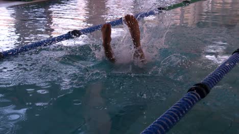 nadador en forma buceando en la piscina