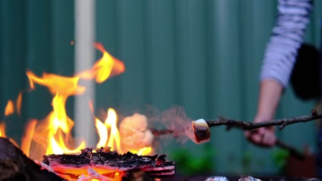 roasting marshmallows and vegetables on flames of a open fire