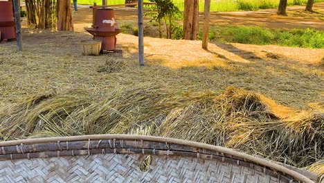 a sunlit scene featuring a large haystack, woven basket, and trees in a rural landscape.