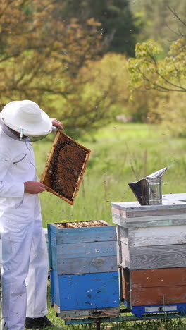 beekeepers work with bees. happy professional beekeeper in protective hat is busy on apiary