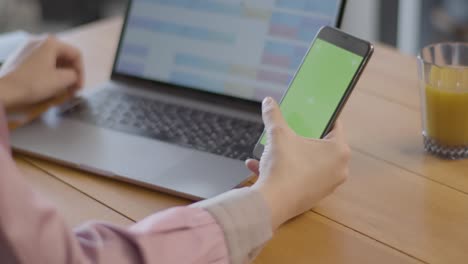 close up female hands planning agenda on her phone with vertical green screen and online calendar on laptop.