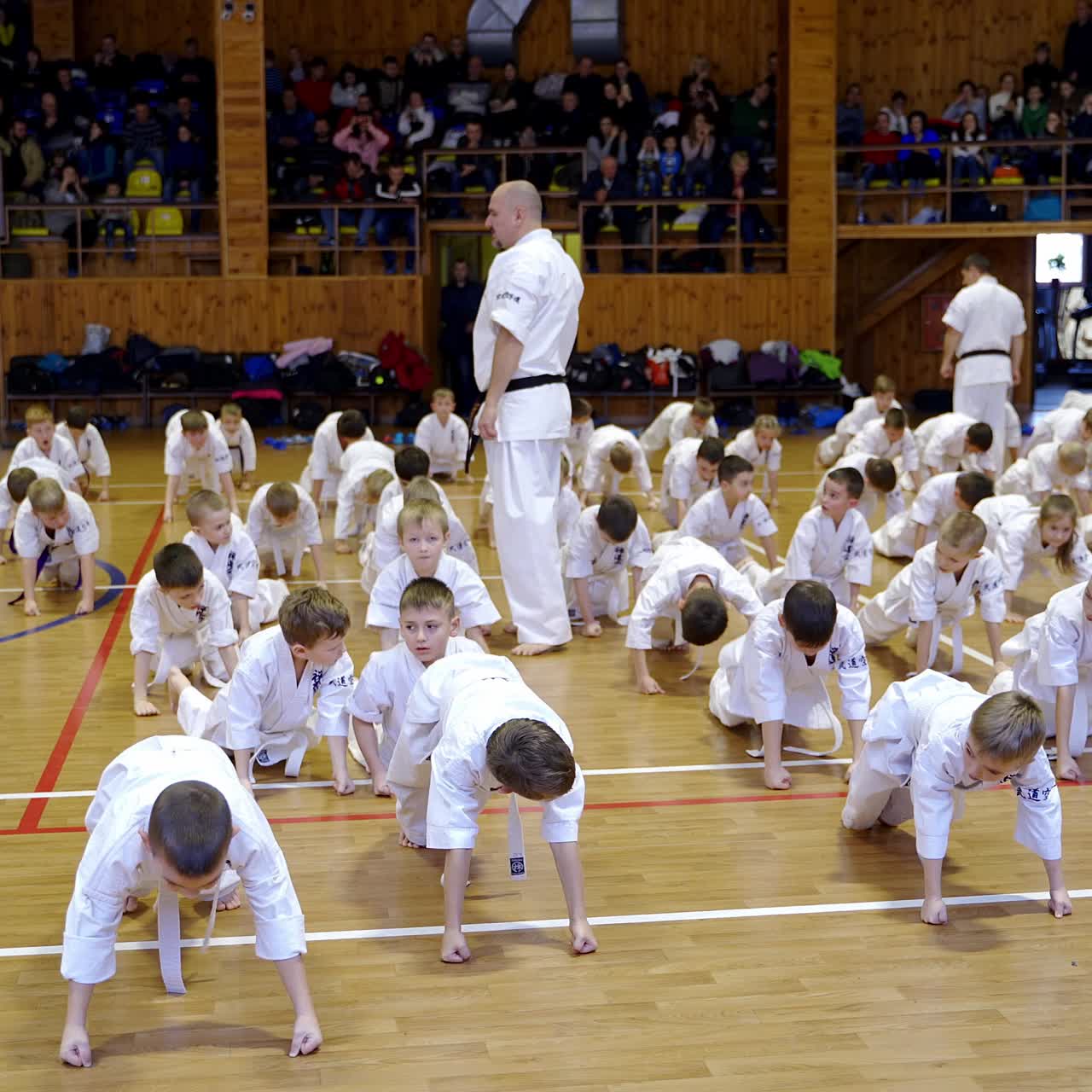 Doing push-ups during karate master class in the gym. Coaches walk among the rows to supervise young sportsmen