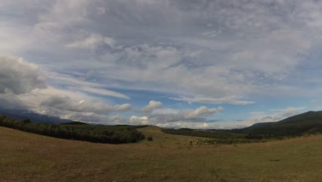 summer carpathians