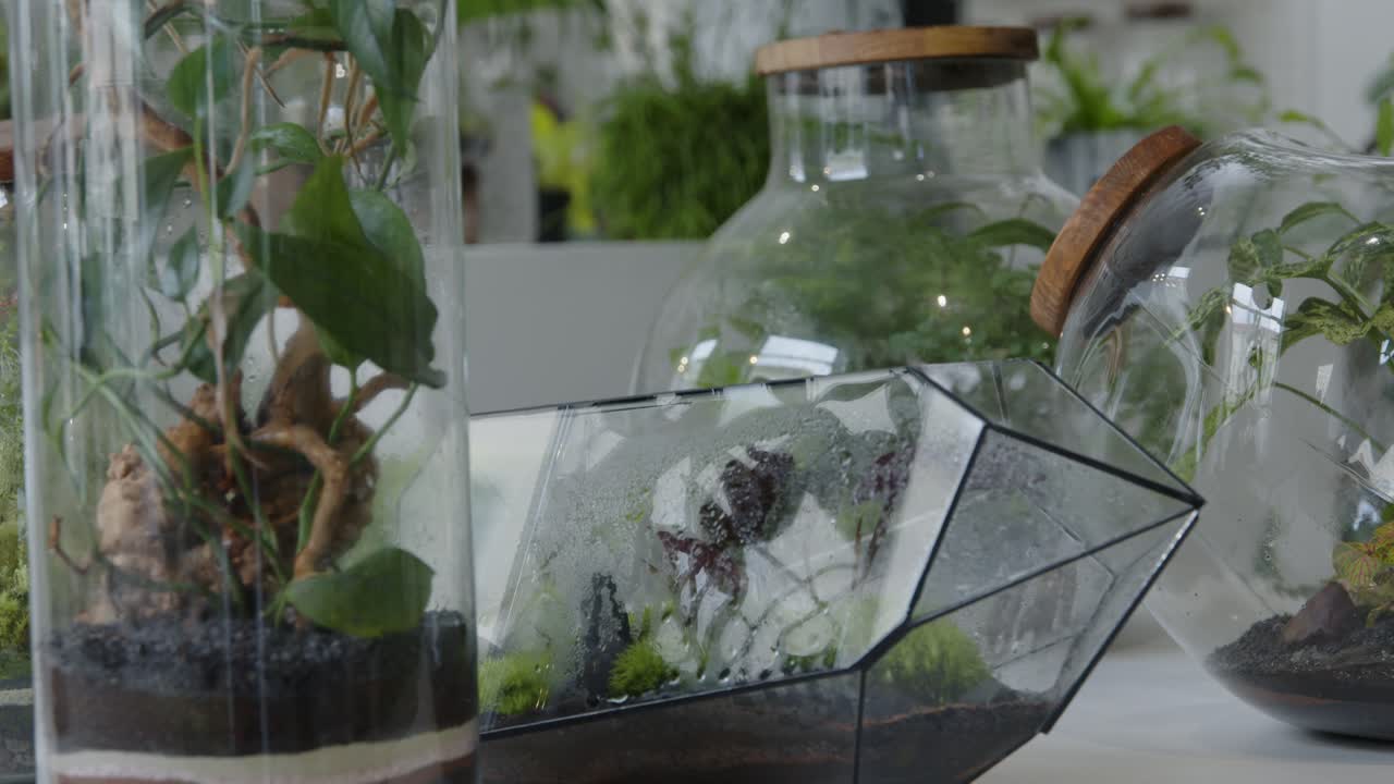 Kukkatyöpaja, jossa pienet valmiit kukka-asetelmat terraarioissa – tarkennuksen siirto, puolikuva.