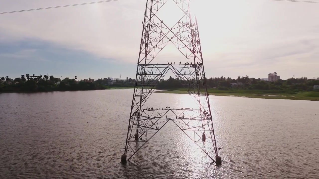 Aerial drone shot of birds perched on power transmission tower above calm lake with overhead power lines and reflective water during daytime in Tamil Nadu, India