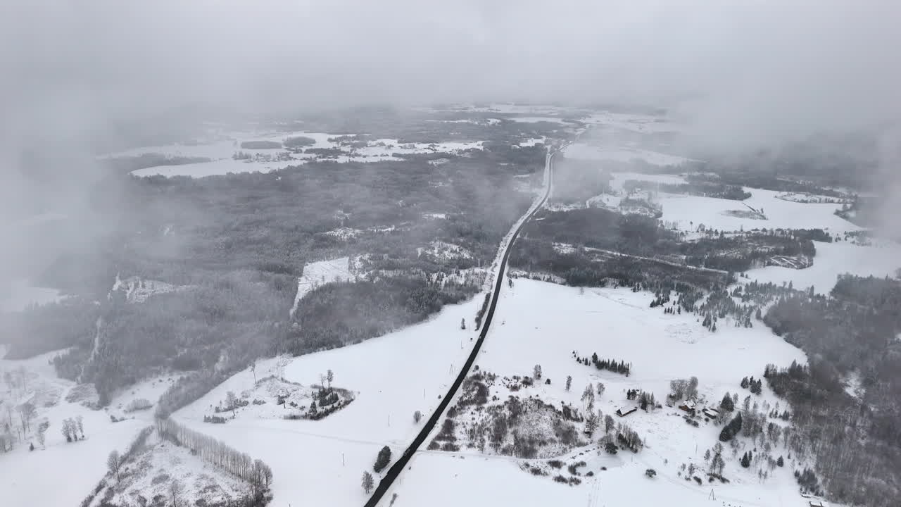 High aerial view of a misty winter landscape with pine forests