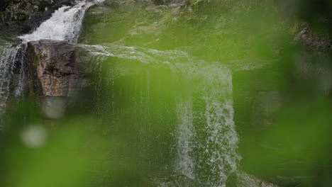 famous tourists attraction salto el yerba waterfall surrounded by lush greenery, misiones, el soberbio, argentina.