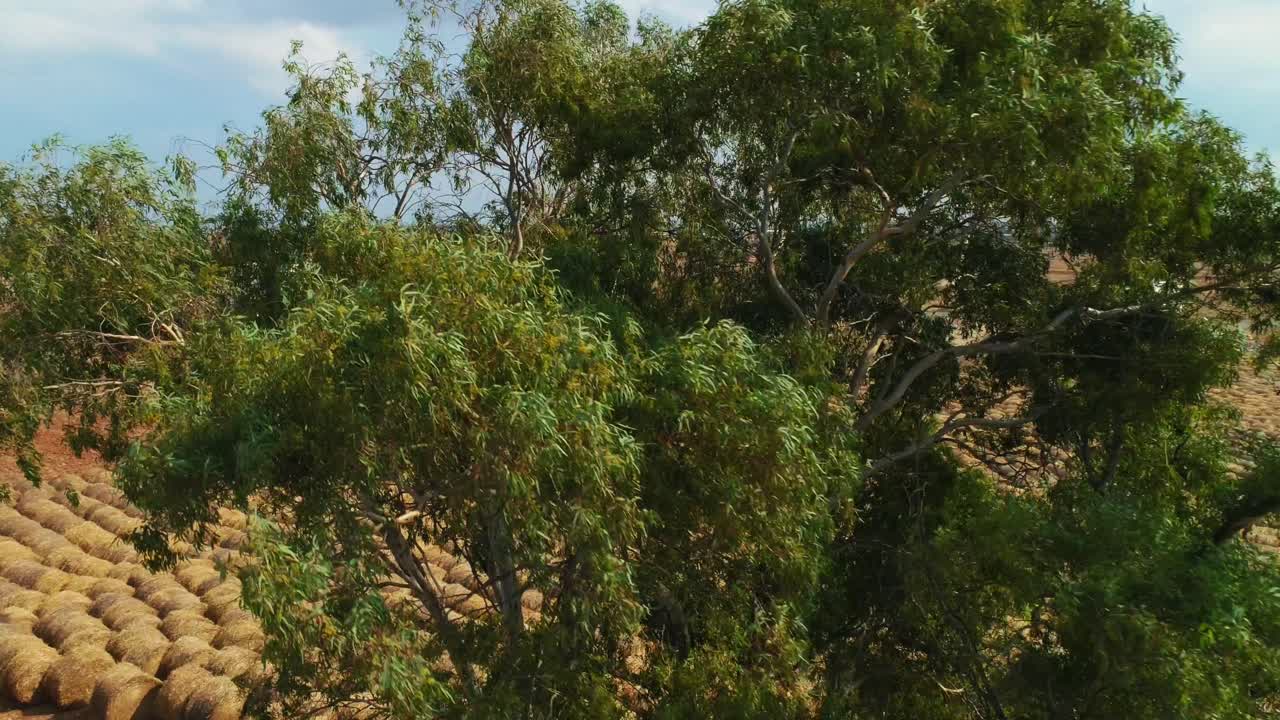 건초 꾸러미로 가득한 들판의 조감도