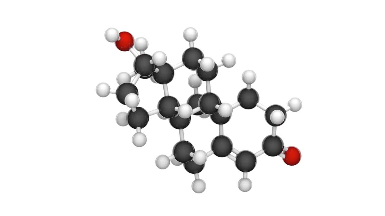 테스토스테론 (c19h28o2) : 완벽한 루프