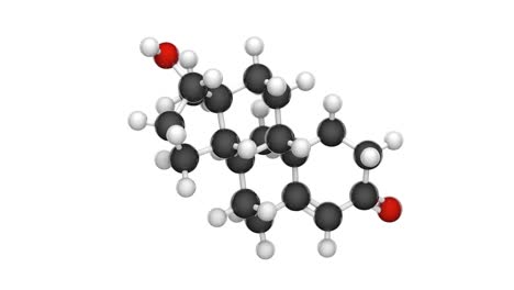 testosterona (c19h28o2). bucle sin costuras.