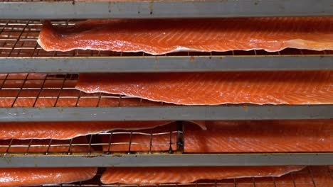 Close-up-into-netting-grates-filled-with-freshly-smoked-trout-and-salmon-fillets---Looking-at-the-edge-of-fillets,-slowly-panning-down-to-reveal-more-layers-of-fish