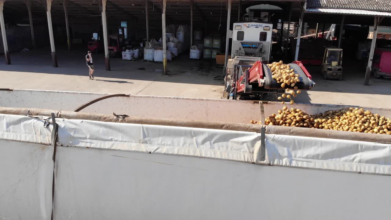 Potato grader sorting potatoes ready for loading and transport to client