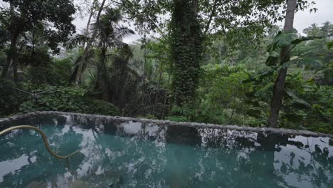 pool in the middle of a forest in bali indonesia.
