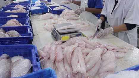 primer plano de carne de pescado de mar recién cortada