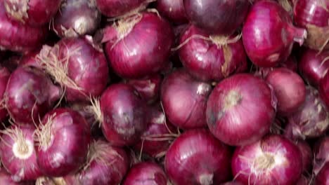 fresh-organic-onion-from-farm-close-up-from-different-angle