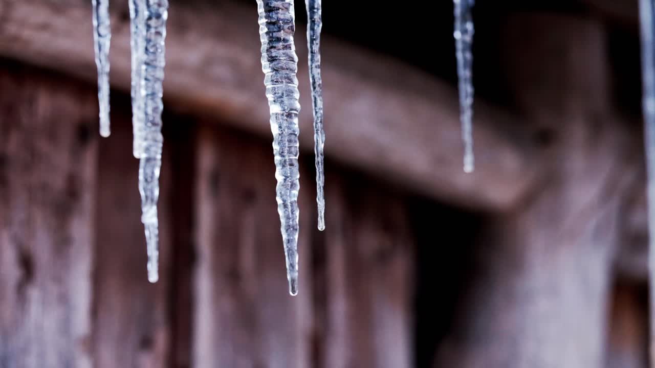 Impressive icicles on a wooden winter cabin slowly melting and dripping water drops
