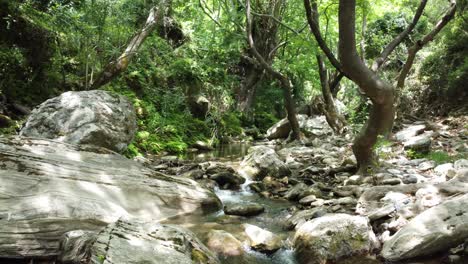 Flying-through-the-forest-over-a-small-creek-|-Aerial-shot-of-small-river-in-Platanistos,-Evoia-|-4K