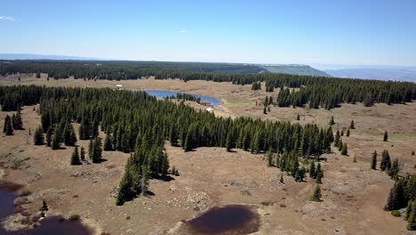 Aerial-shot-moving-forward-over-snow-melt-lakes-and-fir-trees-on-top-of-Grand-Mesa,-Colorado,-USA