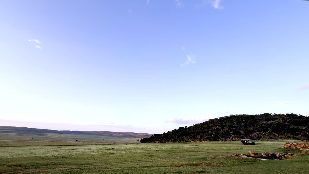 Safari 4x4 game drive vehicle drives in reserve grassland field, sky copy space
