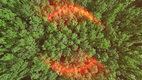 epic green forest top-view and abstract flame circle moving on the forefront symbolizing wildfire disaster seen from drone.