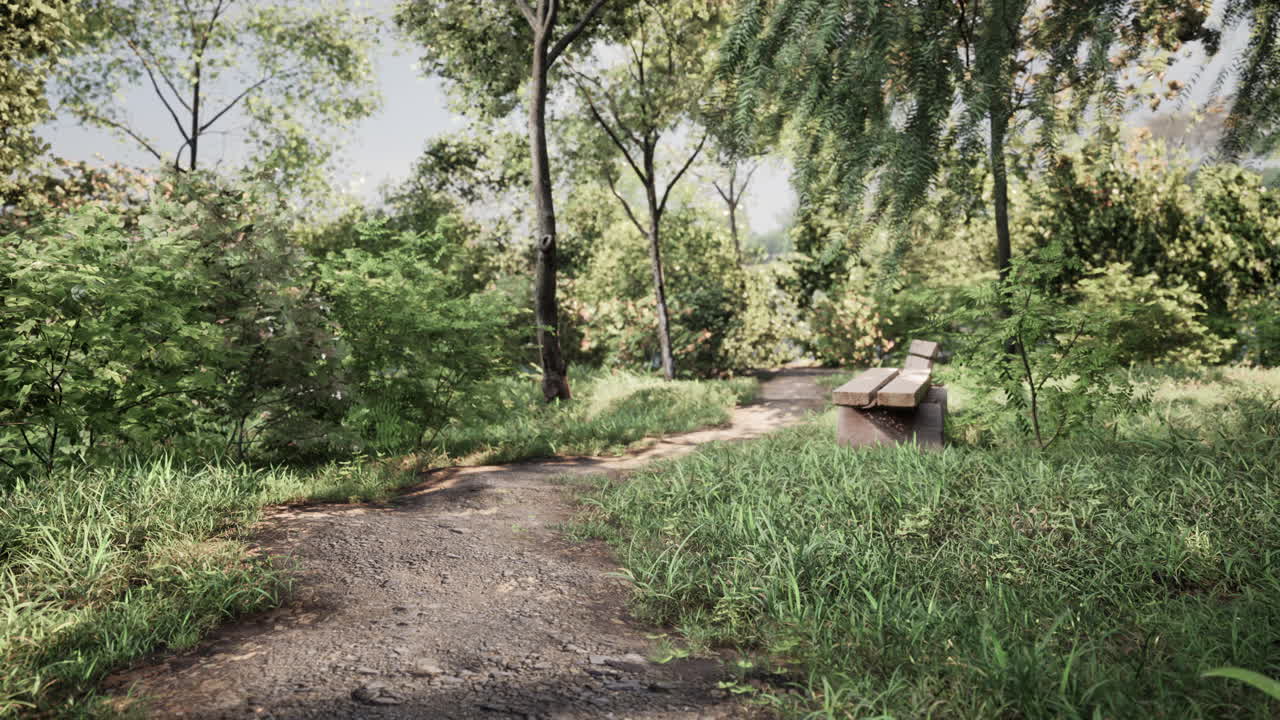 ⁇ 은 나무와 보행길이 있는 여름 공원 의 벤치