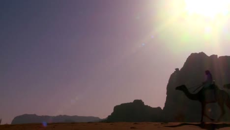 a camel train crosses the saudi desert in wadi rum jordan