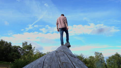 man walking on a fallen tree trunk, then standing at the top looking into the distance